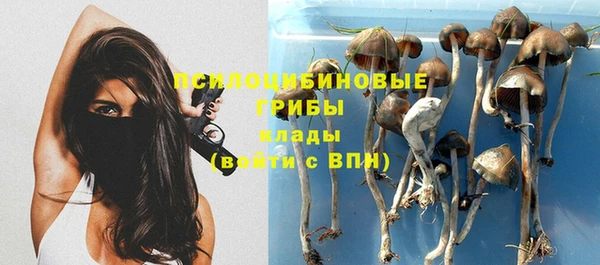 бошки Алексеевка