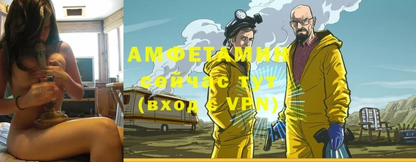 дживик Абаза